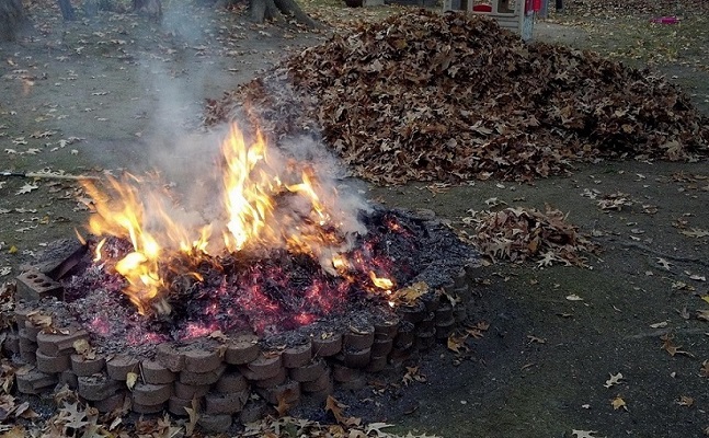 Leaves burning in an outdoor fire pit