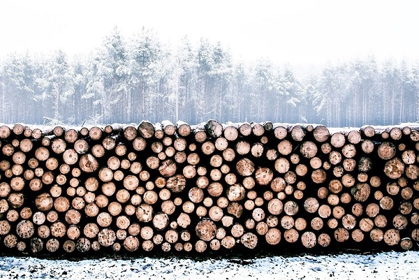 A stack of wood in winter - seasoning of firewood